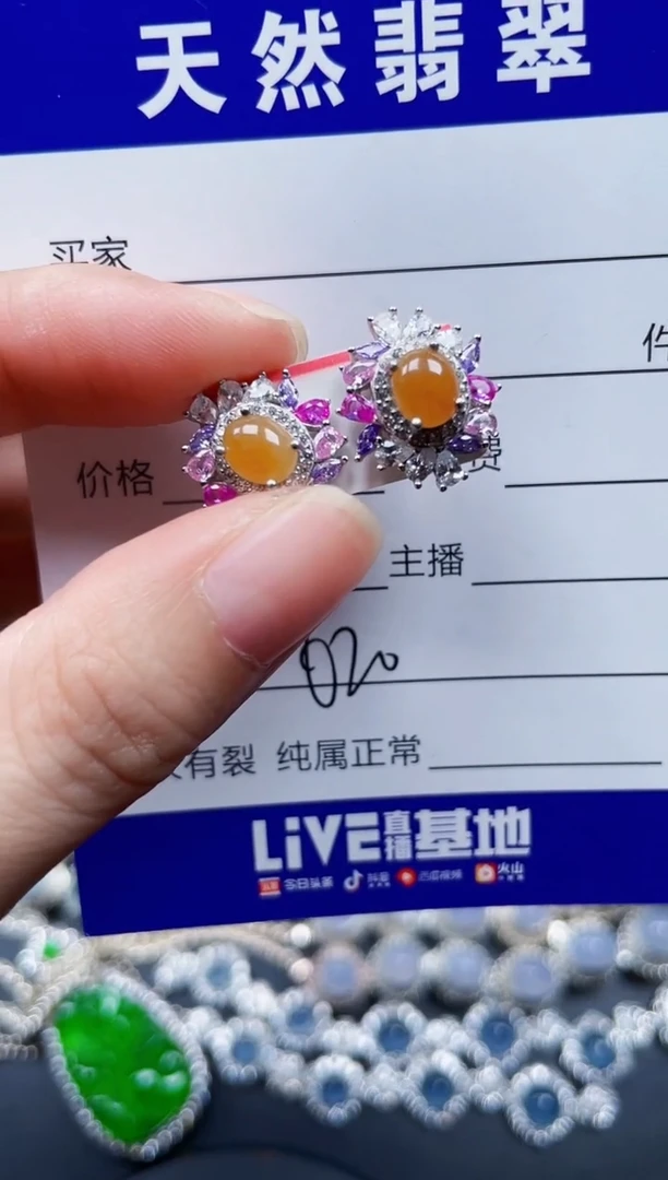 银S925镶嵌翡翠耳饰620