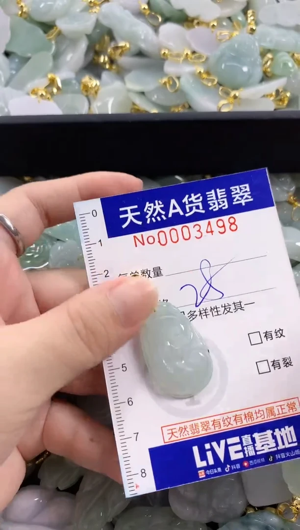 颈饰未镶嵌翡翠天然A货翡翠