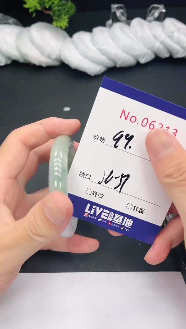 未镶嵌手镯翡翠6213