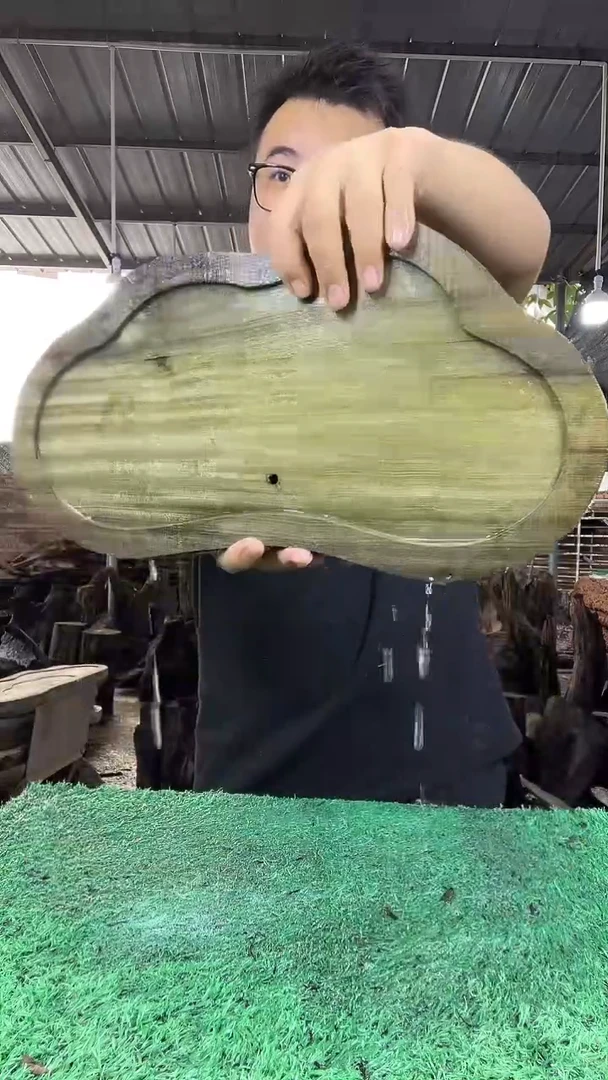 金丝楠小叶桢楠120