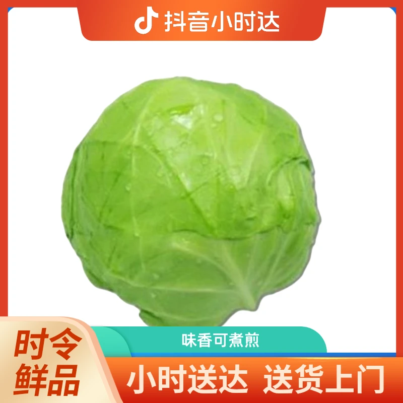 茴子白1个2斤左右