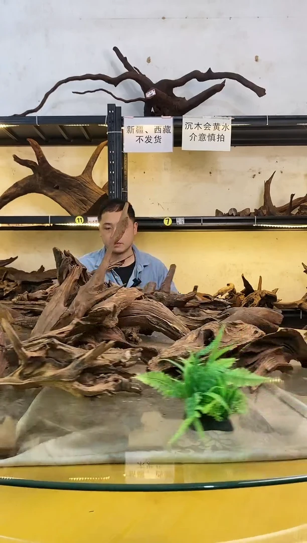 【闪购商品】柚木木艺023鱼缸造景沉木