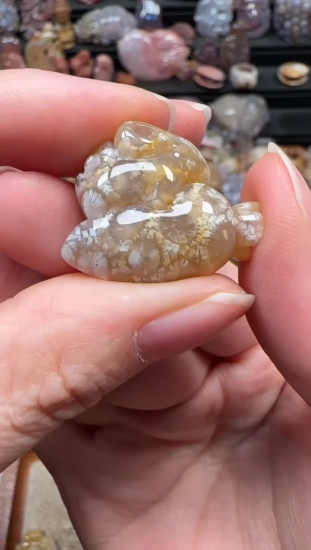 颈饰未镶嵌硅化珊瑚（珊瑚玉）361