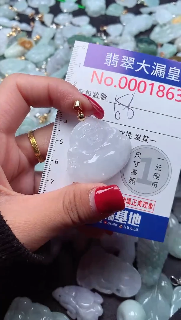 颈饰未镶嵌翡翠1863
