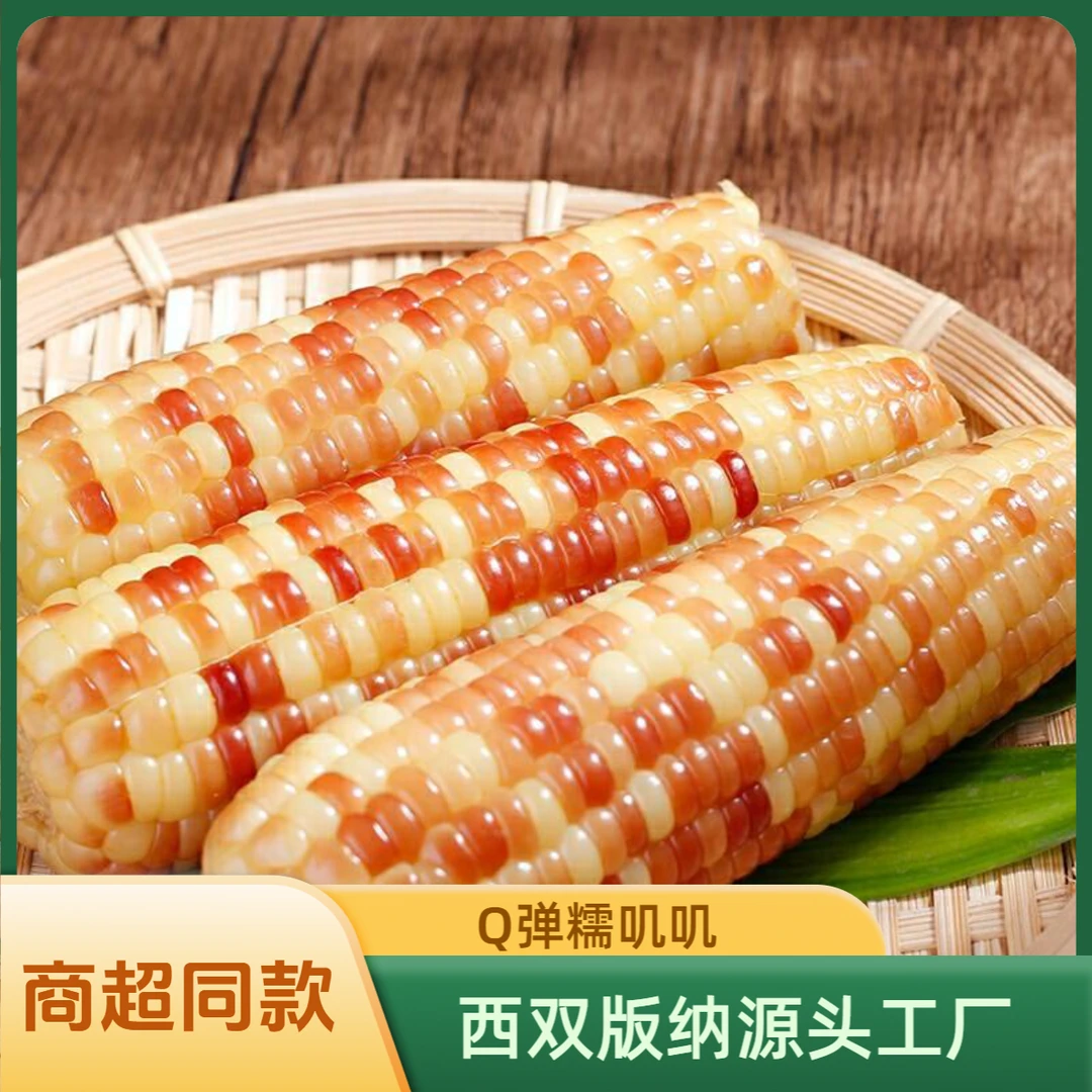 云南西双版纳香甜糯小花糯玉米一箱优质基地种植品质新鲜现货粗粮