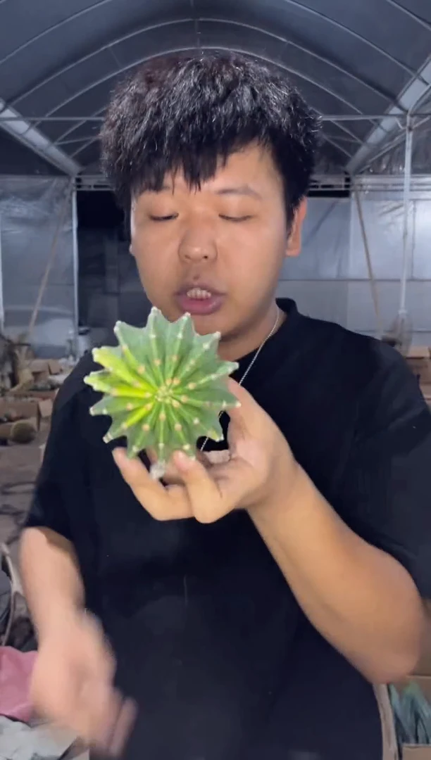 世界图锦【实生根】