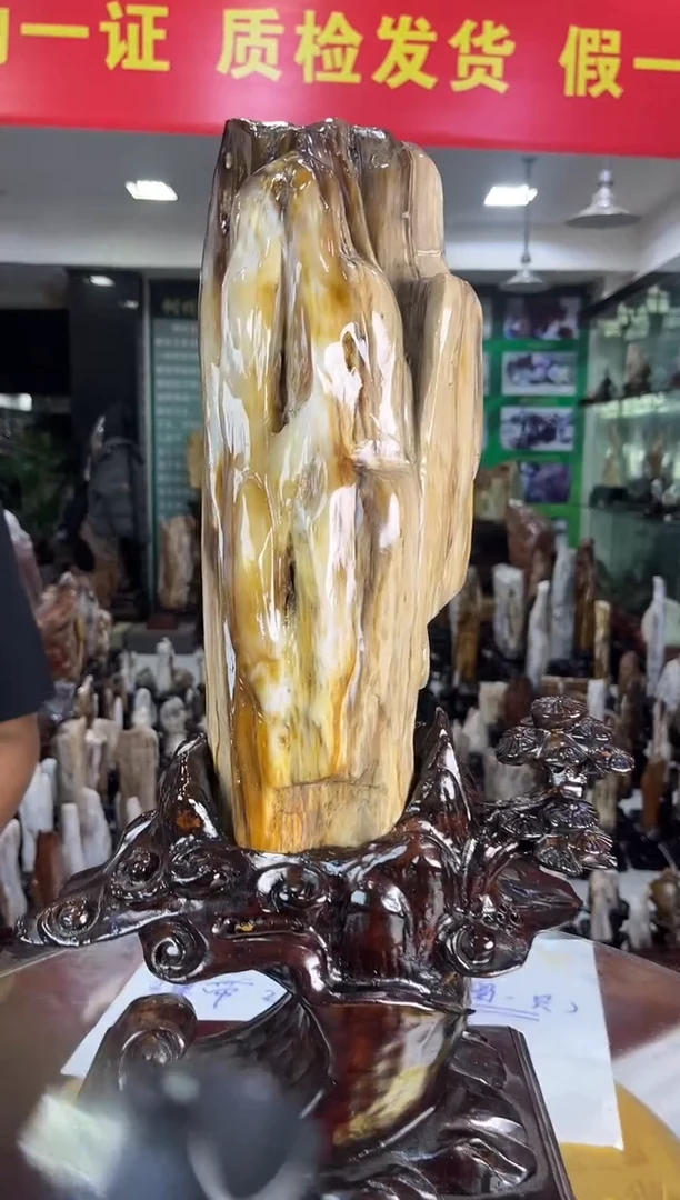 未镶嵌珠宝奇石硅化玉缅甸天然树化玉精品摆件