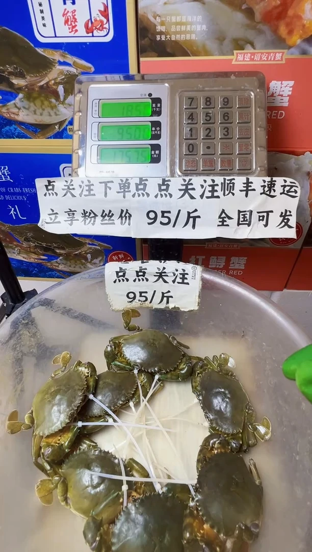 中国大陆福建漳州青蟹