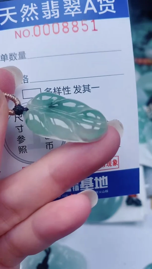 颈饰未镶嵌翡翠00008851