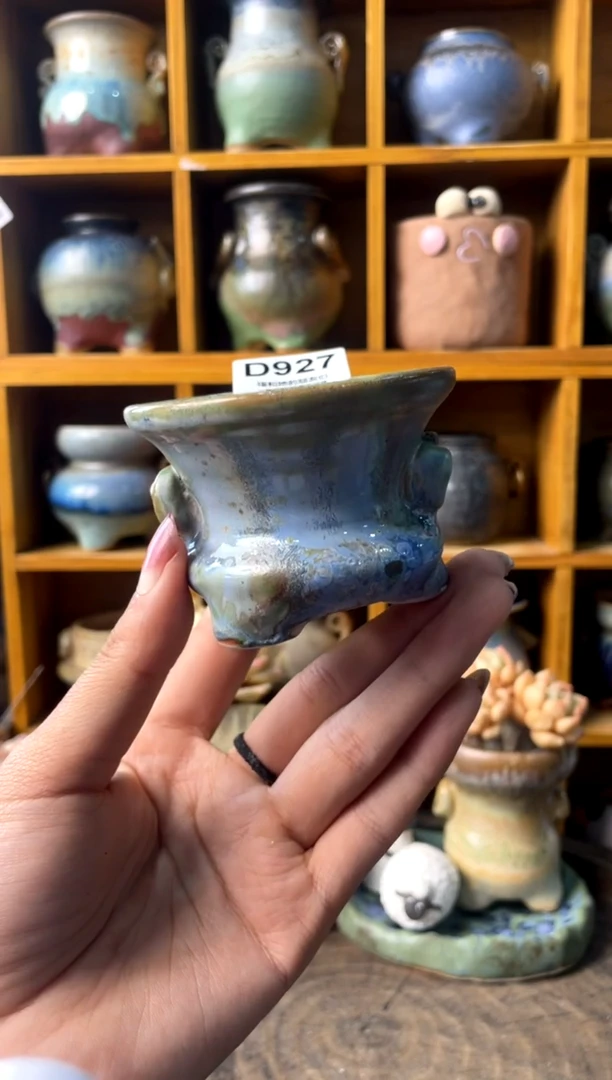 927内口6【多肉花盆多肉盆】