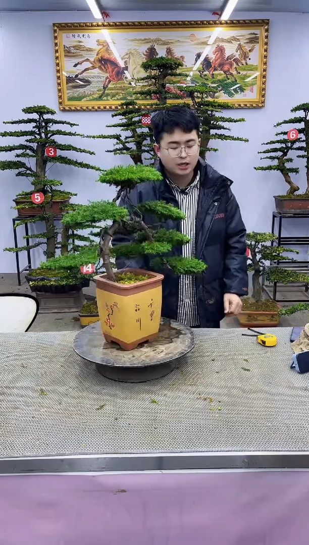 【闪购商品】000000000000000