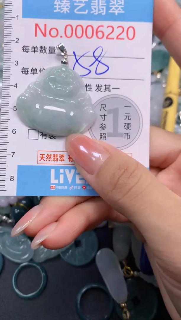 颈饰未镶嵌翡翠6220