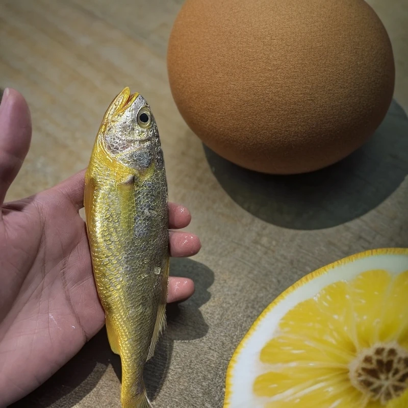 《海鲜码头东海野生网捕小黄鱼3斤  顺丰冷链  新鲜1斤11-15条