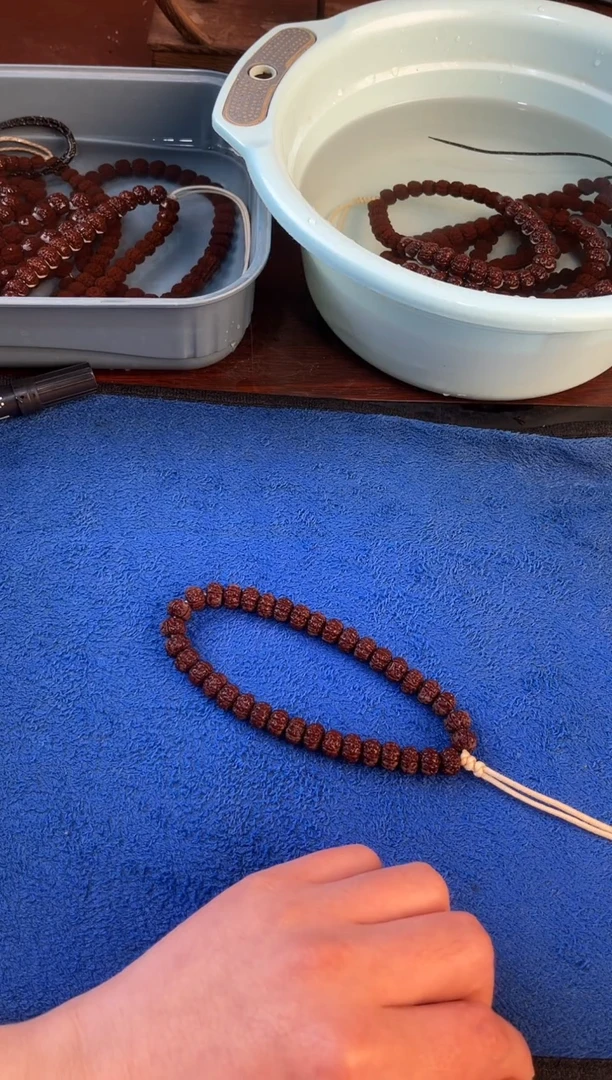 手串金刚菩提—*10+老树王