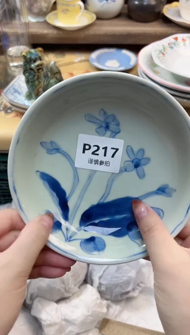 瓷片旅****界   217