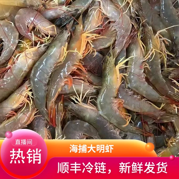 海捕大明虾 12-15头/斤  三斤五斤自选 顺丰冷链发货