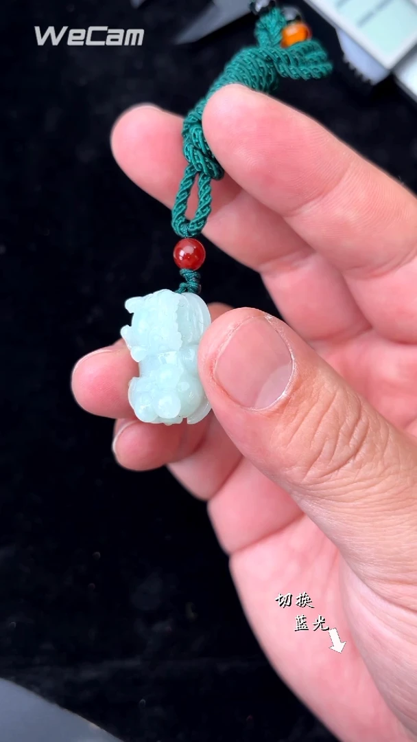 颈饰未镶嵌翡翠多样性发一