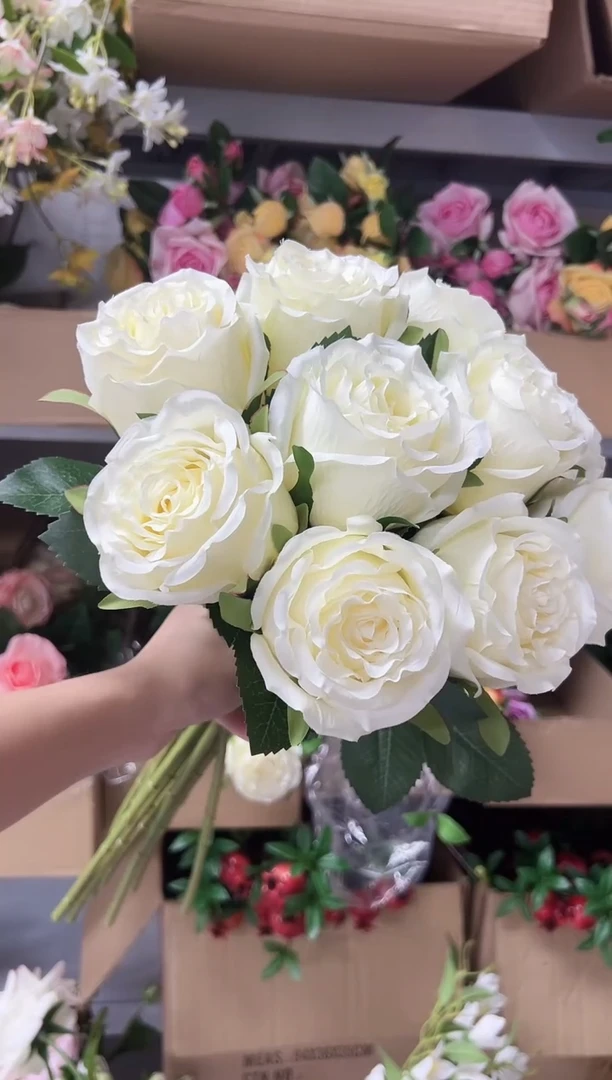 10枝白色洛神花花