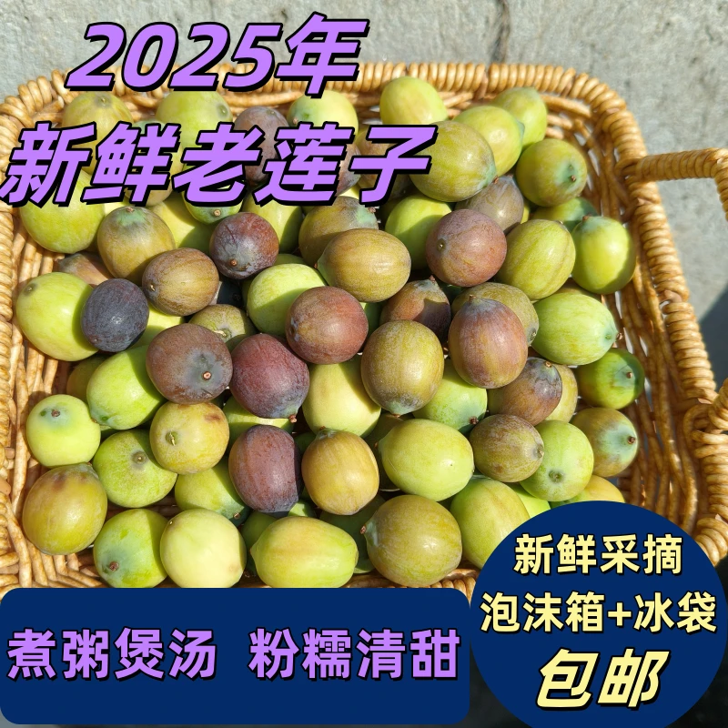 洪湖新鲜老莲子褐色莲子不带蓬乌莲子成熟老莲子2斤3斤4斤包邮