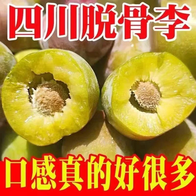 【助农专属】5斤半边红脱骨李新鲜采现采脆甜新鲜果园