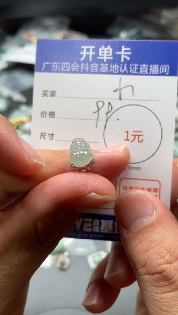 翡翠未镶嵌颈饰一****y挂件