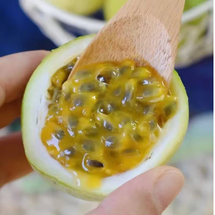 【中国邮政推荐】钦蜜9号黄金百香果  新鲜采摘 口感浑厚 香甜多汁