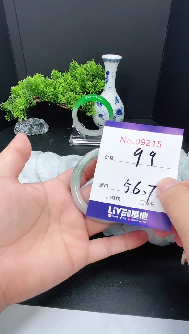 未镶嵌手镯翡翠9215