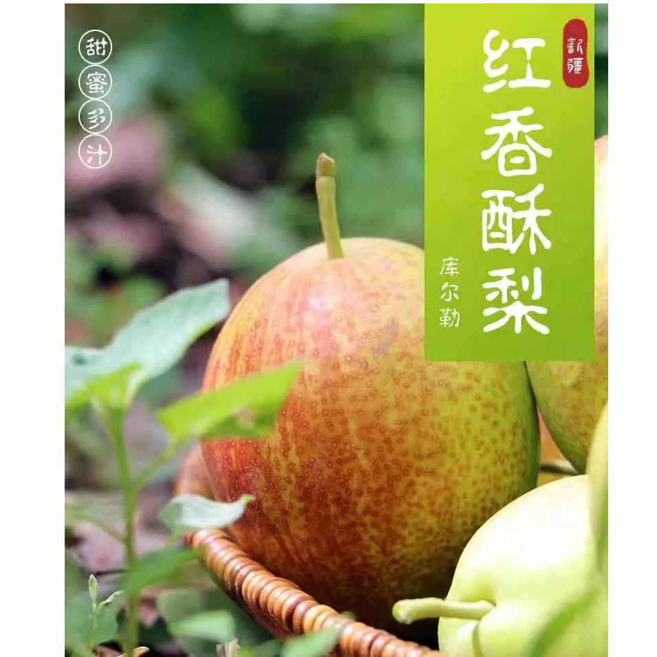 空运直发正宗新疆库尔勒红香酥香梨新鲜应季水果脆甜无渣爆汁香甜