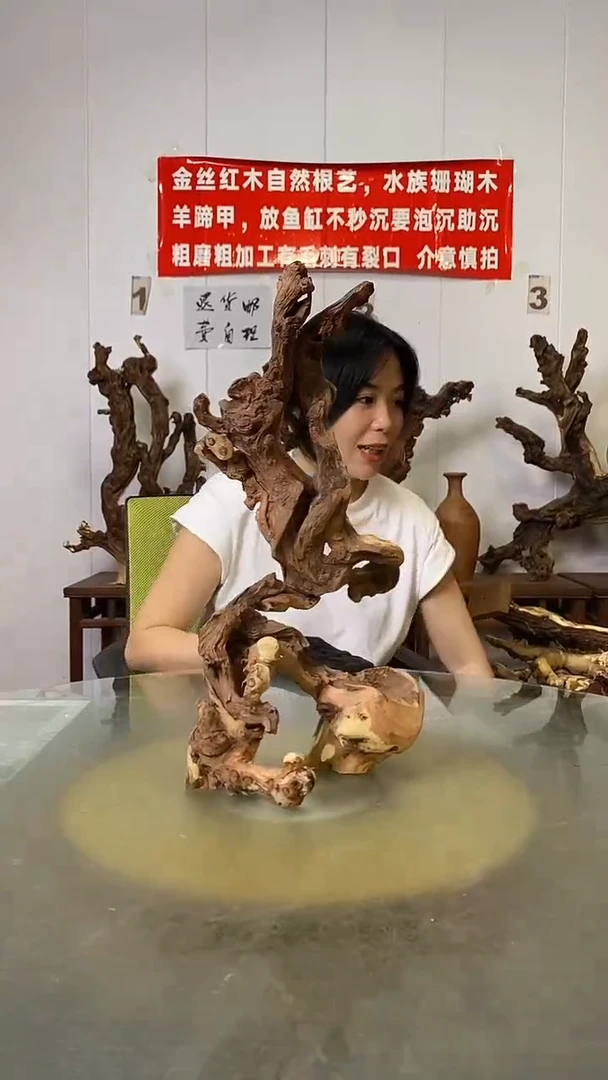 香榧木名****）金丝红木   羊蹄甲