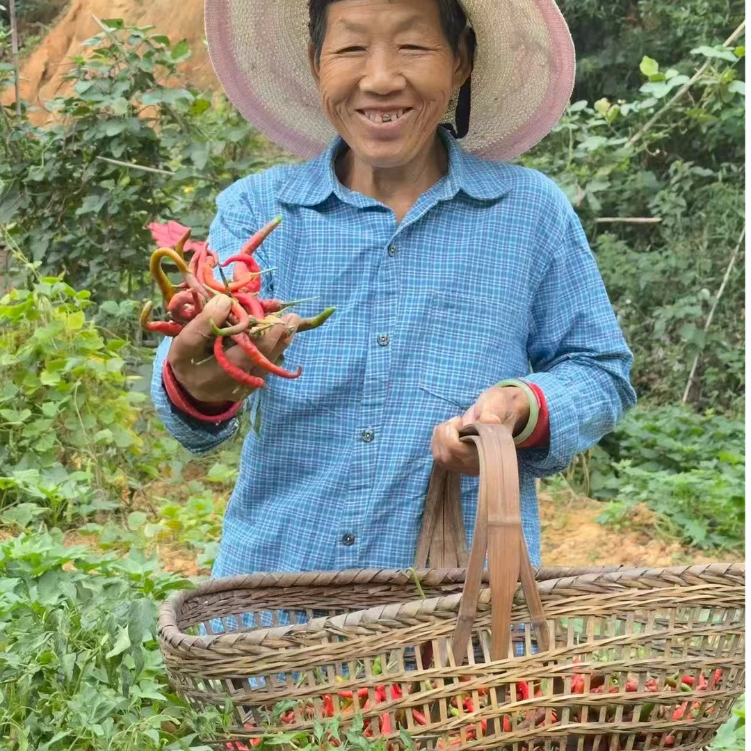 杨叔助农丨湖南衡山本地辣椒（农户代卖）