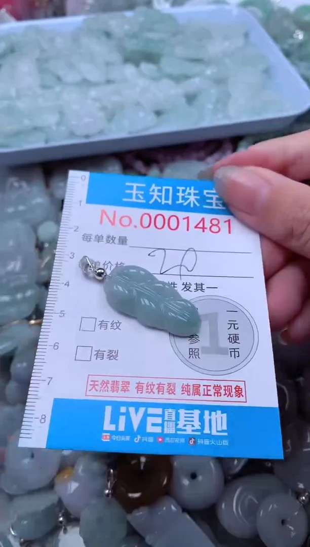 翡翠未镶嵌吊坠(不含链)1481