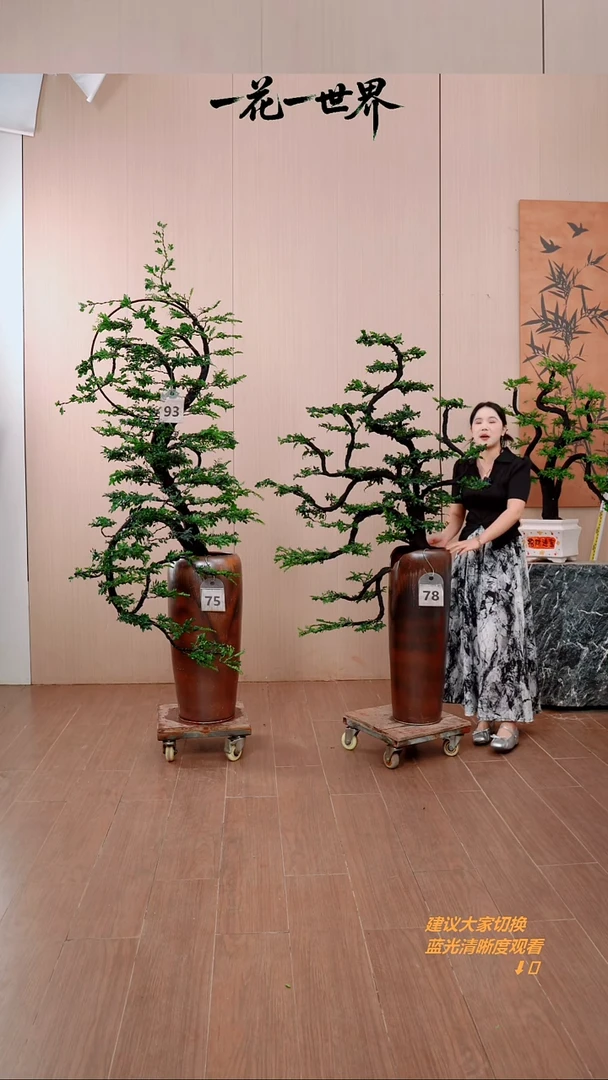 无花朵L****G78号链接