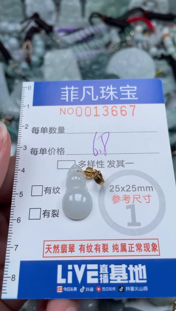 颈饰未镶嵌翡翠13667