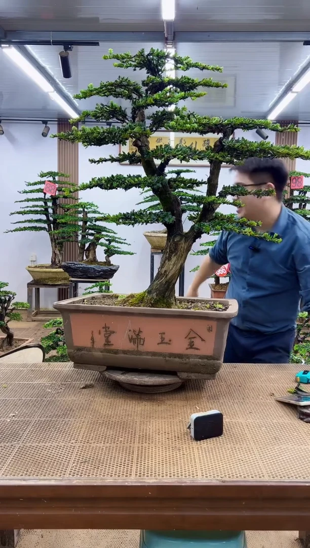 无花朵一物一拍，所见即所得