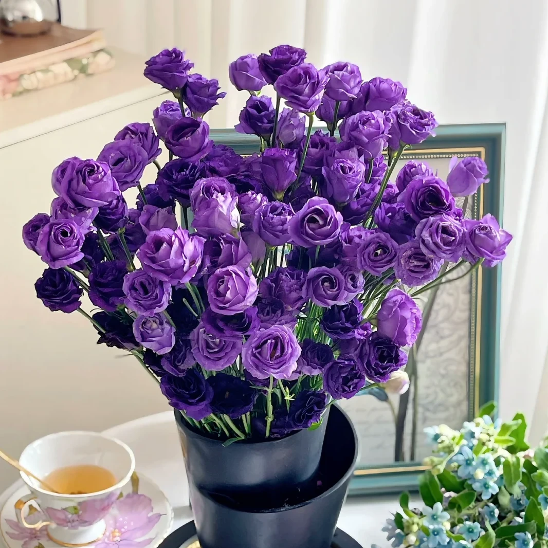 【紫色洋桔梗400克】云南鲜切花无刺玫瑰基地直发任意两件送货上门