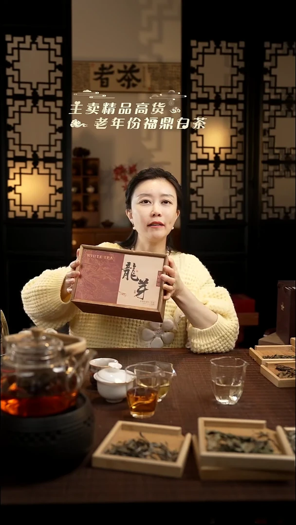 2024龙芽 500克 荒野银针 白毫银针