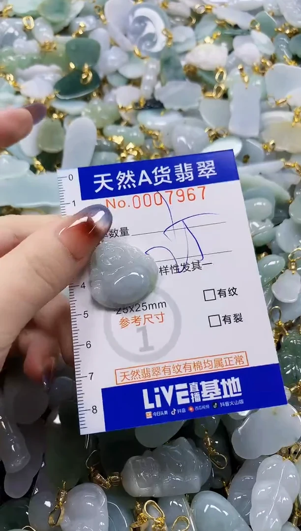 颈饰未镶嵌翡翠天然A货翡翠