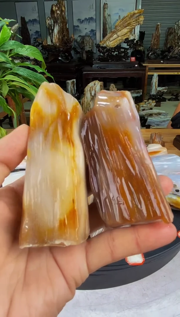 硅化玉珠宝奇石未镶嵌1