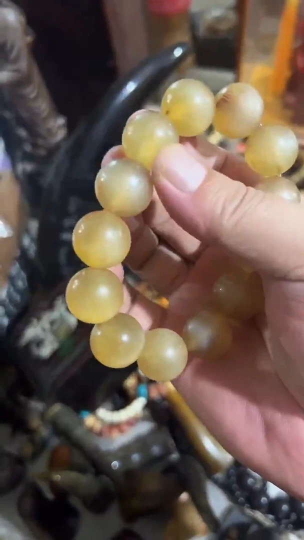 紫砂紫砂紫砂紫砂紫砂紫砂