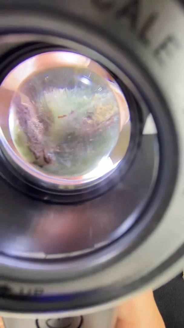 吊坠(不含链)未镶嵌水晶莫奈花园散珠