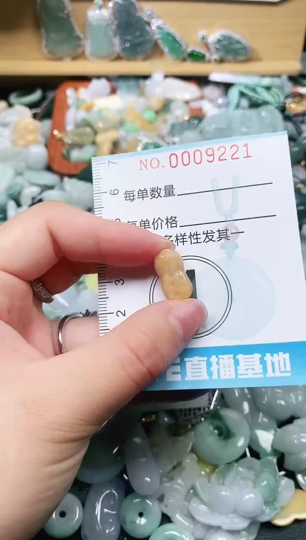 【闪购商品】翡翠颈饰未镶嵌闪购0009221