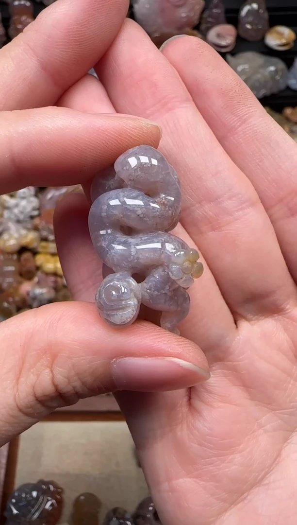 颈饰未镶嵌硅化珊瑚（珊瑚玉）556