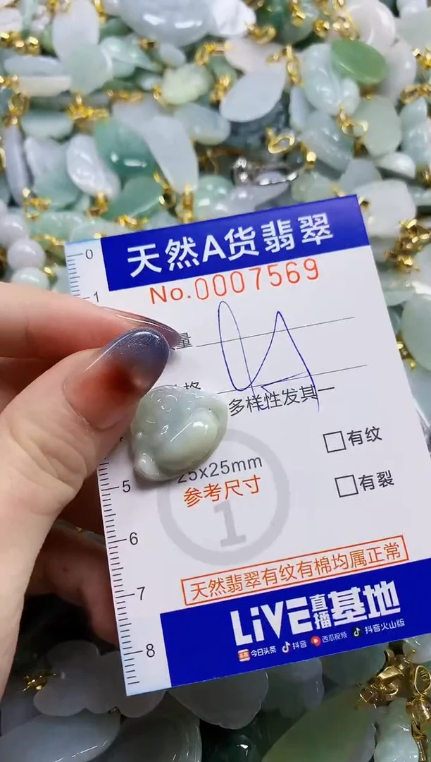 颈饰未镶嵌翡翠天然A货翡翠