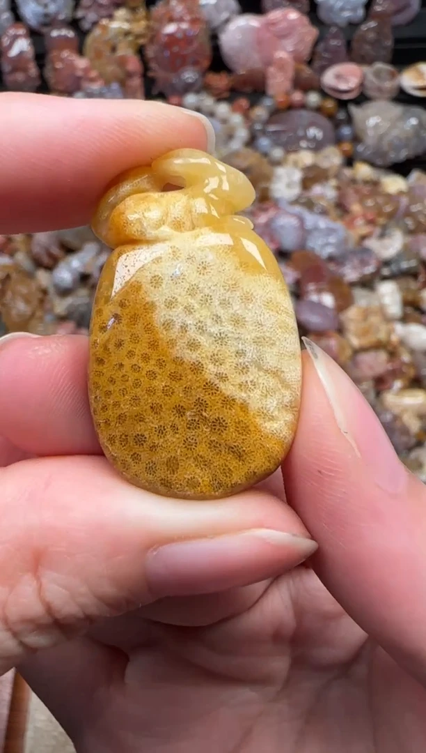 颈饰未镶嵌硅化珊瑚（珊瑚玉）717