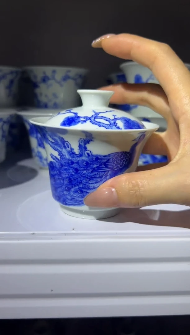 瓷片       红丰窑