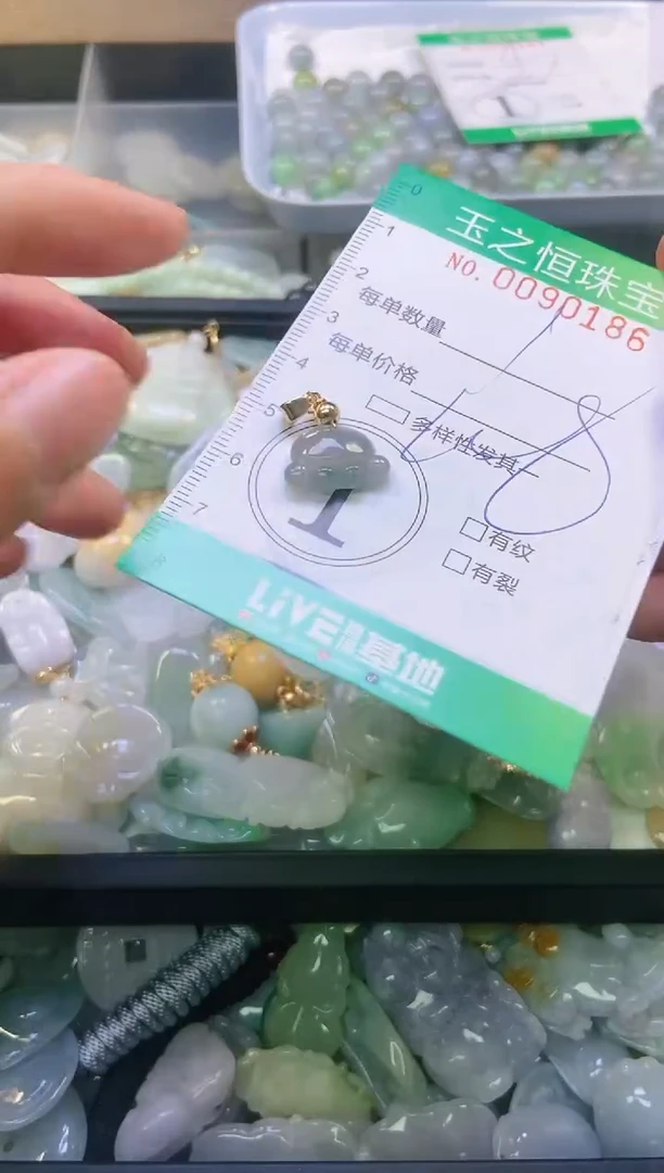 翡翠未镶嵌颈饰闪购0090186