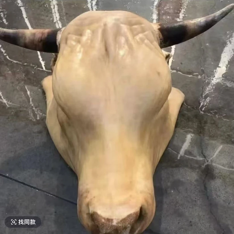 正宗河南南阳黄牛 牛头宴 腌制牛头