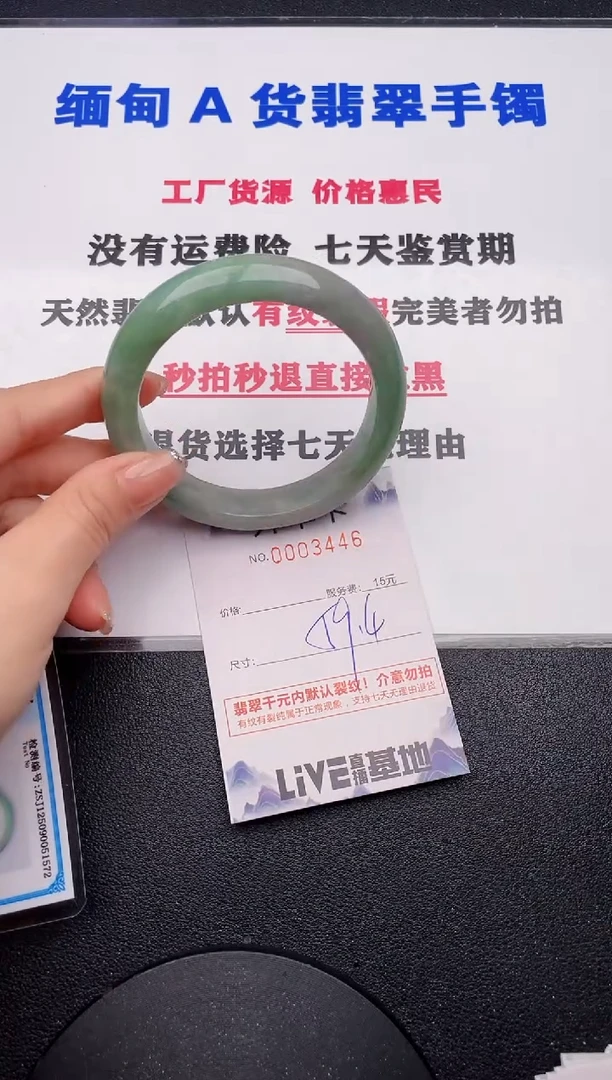 未镶嵌手镯翡翠46