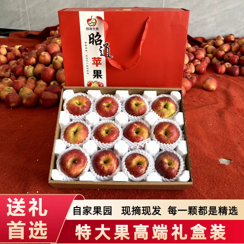 【礼盒装】云南昭通冰糖心丑苹果送人送礼送朋友应季新鲜水果高端