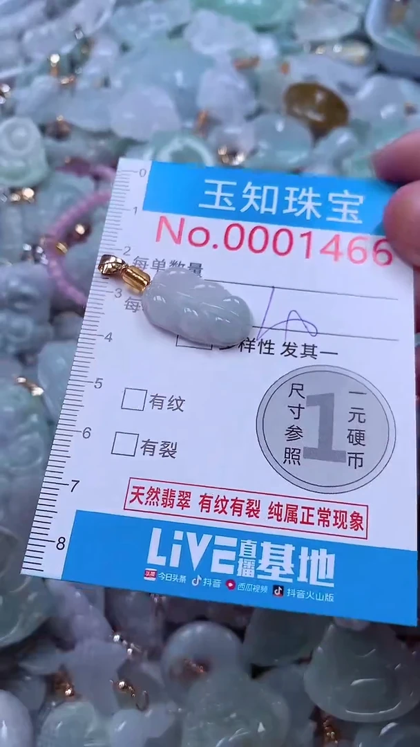 吊坠(不含链)未镶嵌翡翠1466
